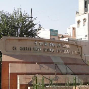 Chaudhary Charan Singh Haryana Agricultural University (CCS HAU)