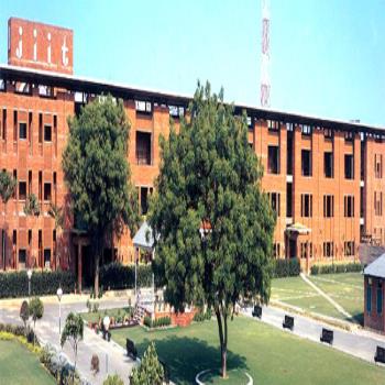 Jaypee Institute of Information Technology