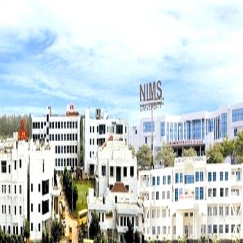 NIMS University